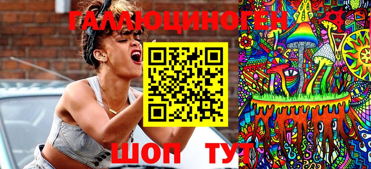 где купить наркоту  Псилоцибиновые грибы Cubensis  Нижнекамск  Вход с VPN  Галлюциногенные грибы мицелий 